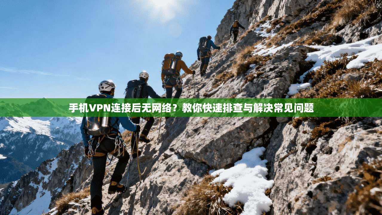 手机VPN连接后无网络？教你快速排查与解决常见问题