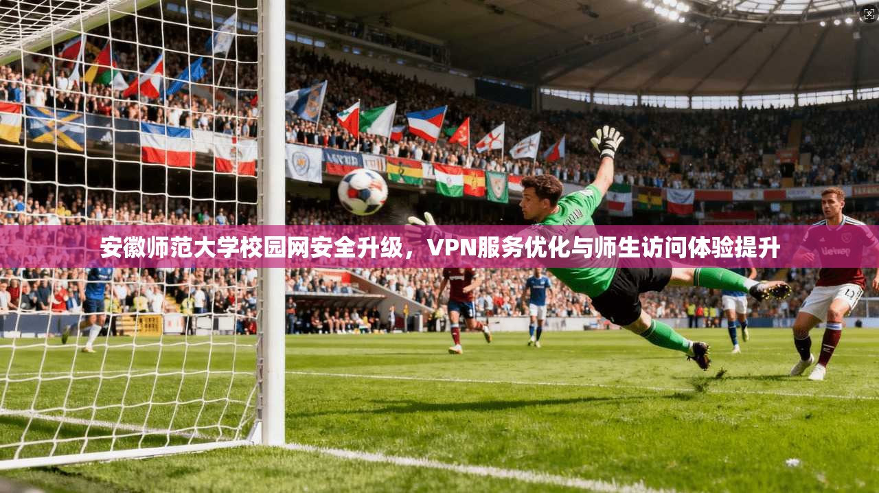安徽师范大学校园网安全升级，VPN服务优化与师生访问体验提升