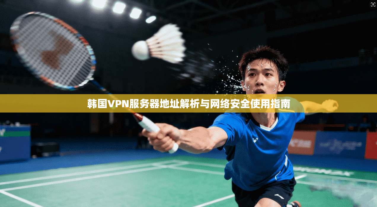 韩国VPN服务器地址解析与网络安全使用指南