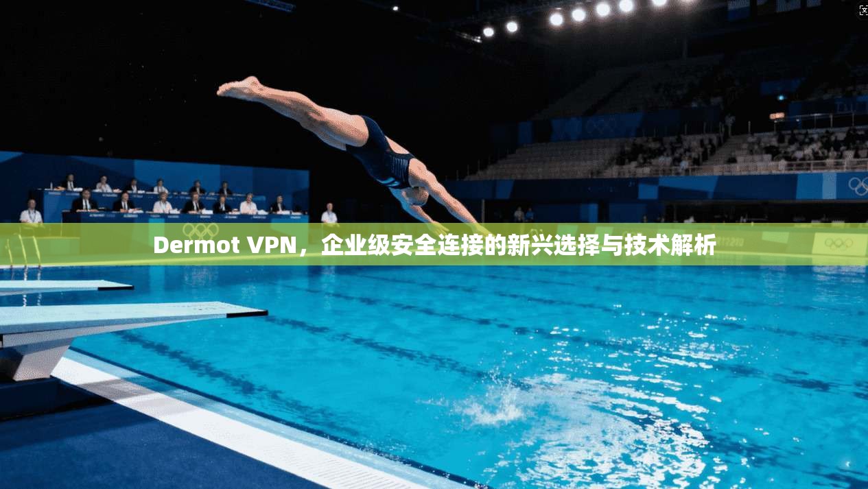 Dermot VPN，企业级安全连接的新兴选择与技术解析