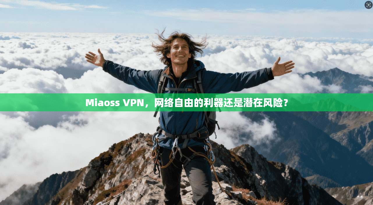 Miaoss VPN，网络自由的利器还是潜在风险？