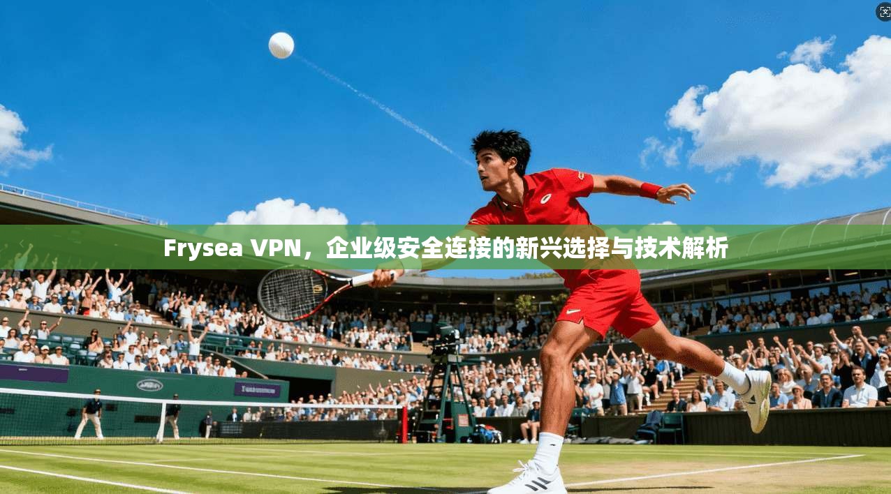 Frysea VPN,企业级安全连接的新兴选择与技术解析 Frysea VPN,企业级安全连接的新兴选择与技术解析