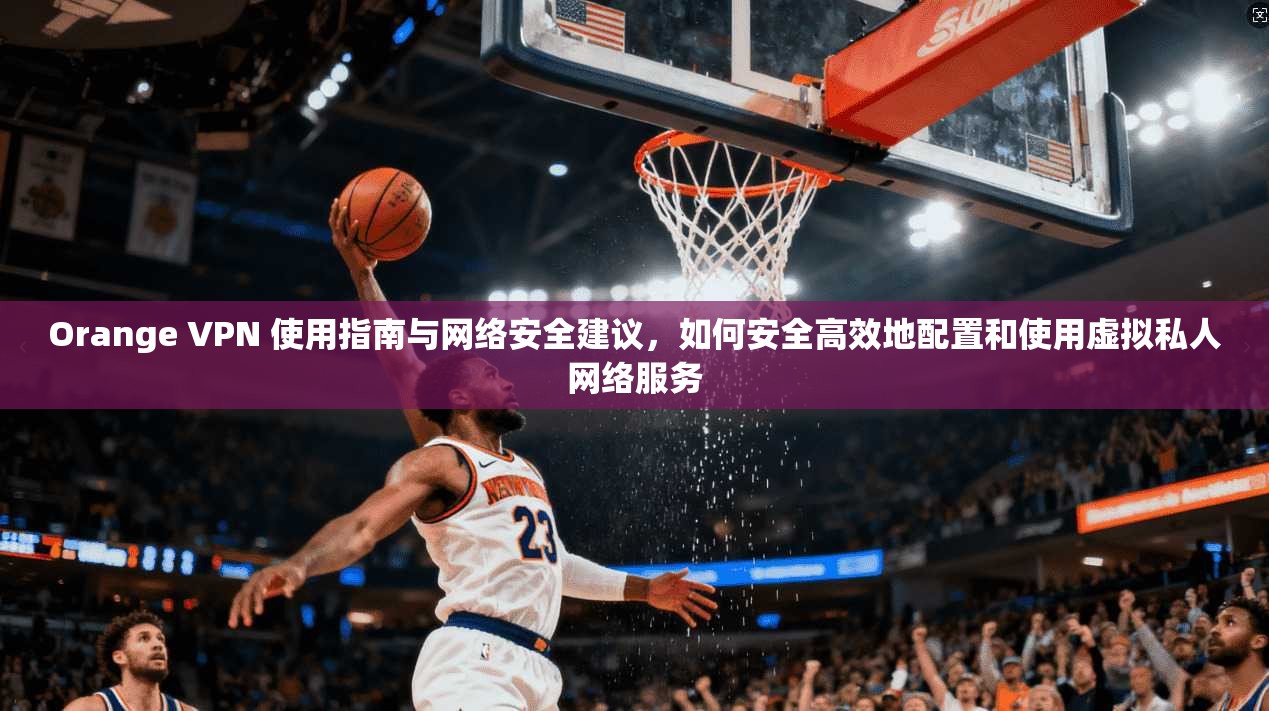 Orange VPN 使用指南与网络安全建议，如何安全高效地配置和使用虚拟私人网络服务