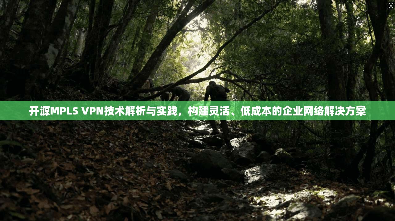 开源MPLS VPN技术解析与实践，构建灵活、低成本的企业网络解决方案