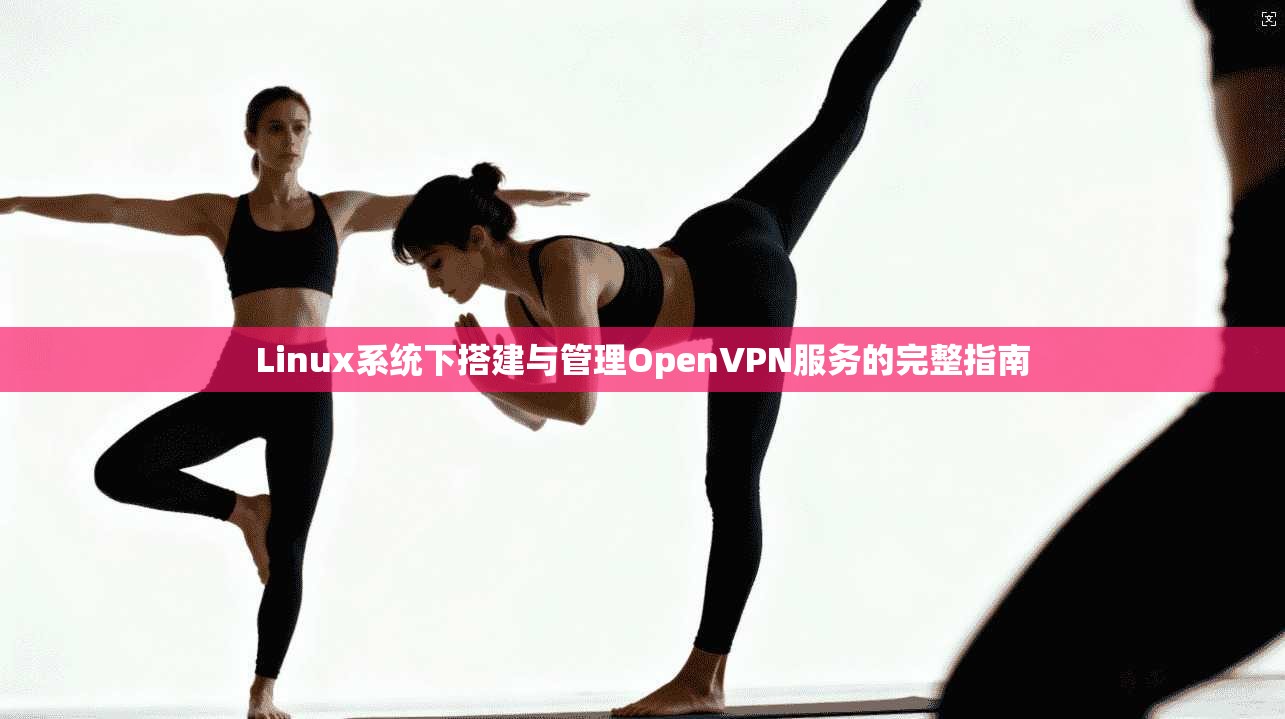 Linux系统下搭建与管理OpenVPN服务的完整指南 Linux系统下搭建与管理OpenVPN服务的完整指南
