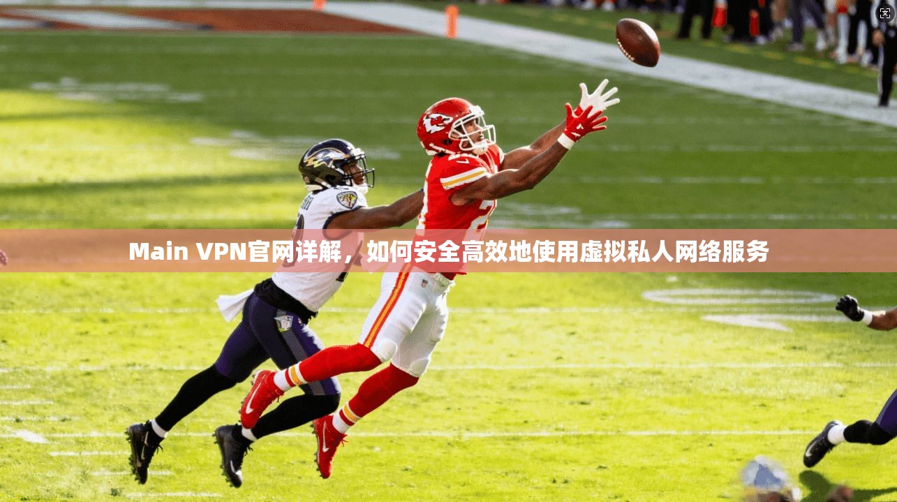 Main VPN官网详解，如何安全高效地使用虚拟私人网络服务