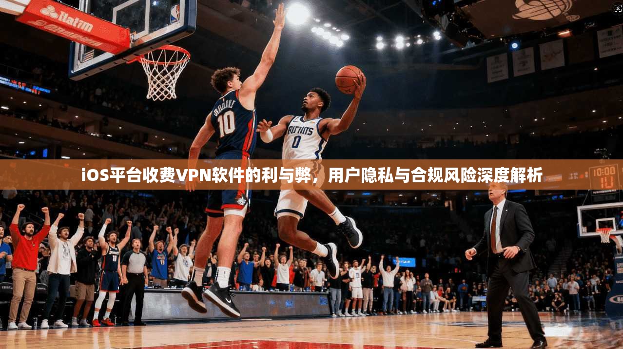iOS平台收费VPN软件的利与弊，用户隐私与合规风险深度解析