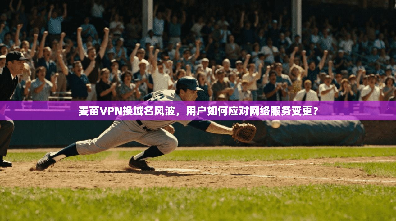 麦苗VPN换域名风波，用户如何应对网络服务变更？