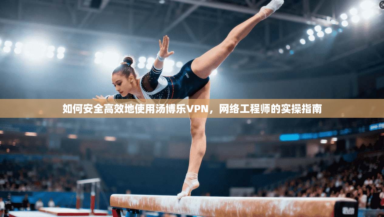 如何安全高效地使用汤博乐VPN，网络工程师的实操指南