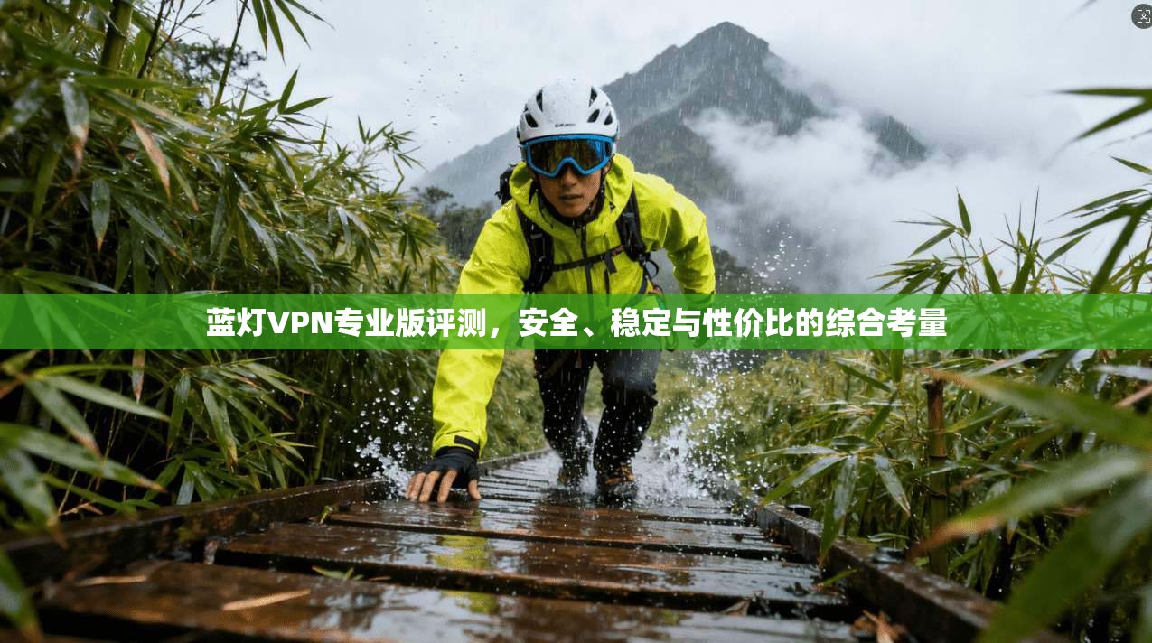 蓝灯VPN专业版评测，安全、稳定与性价比的综合考量