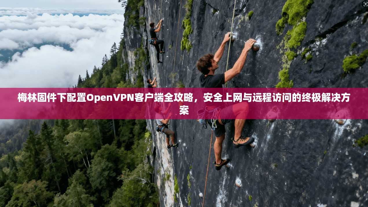 梅林固件下配置OpenVPN客户端全攻略，安全上网与远程访问的终极解决方案