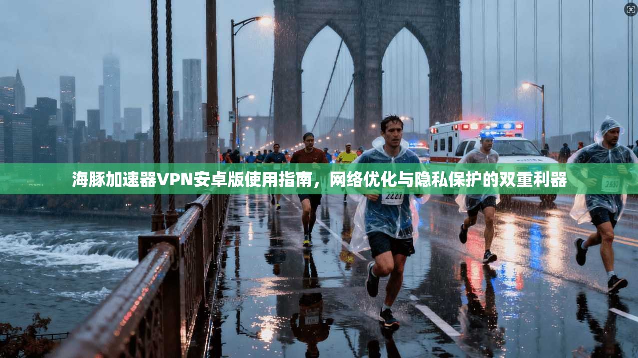 海豚加速器VPN安卓版使用指南，网络优化与隐私保护的双重利器
