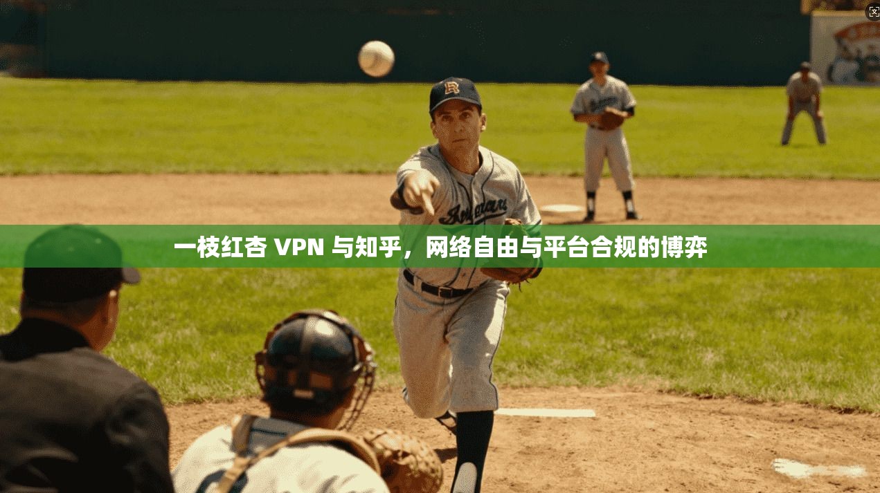 一枝红杏 VPN 与知乎，网络自由与平台合规的博弈