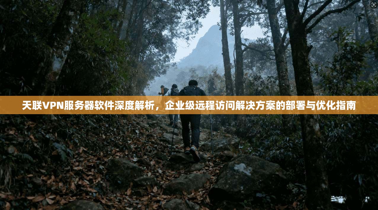天联VPN服务器软件深度解析，企业级远程访问解决方案的部署与优化指南