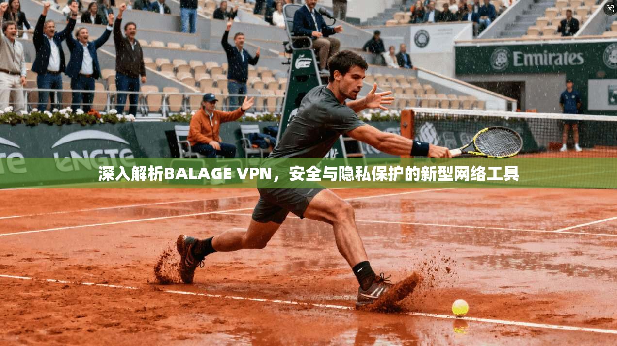 深入解析BALAGE VPN，安全与隐私保护的新型网络工具