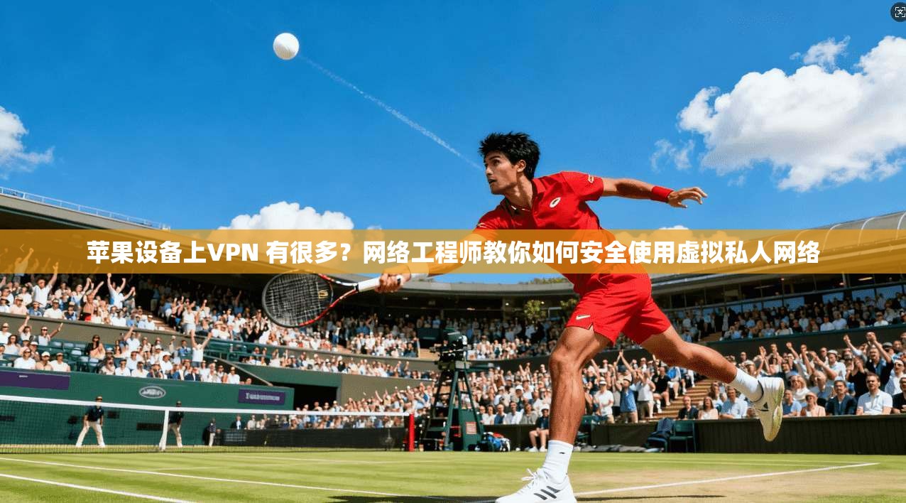 苹果设备上VPN 有很多？网络工程师教你如何安全使用虚拟私人网络