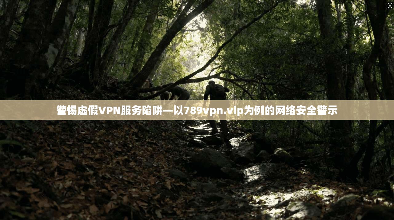 警惕虚假VPN服务陷阱—以789vpn.vip为例的网络安全警示