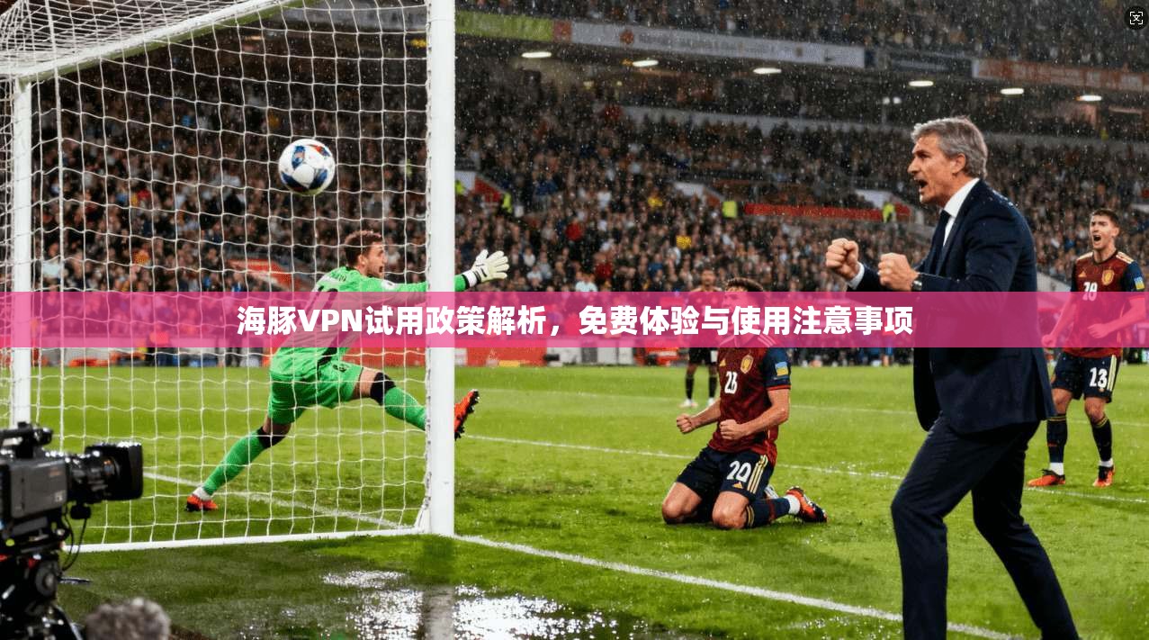 海豚VPN试用政策解析，免费体验与使用注意事项