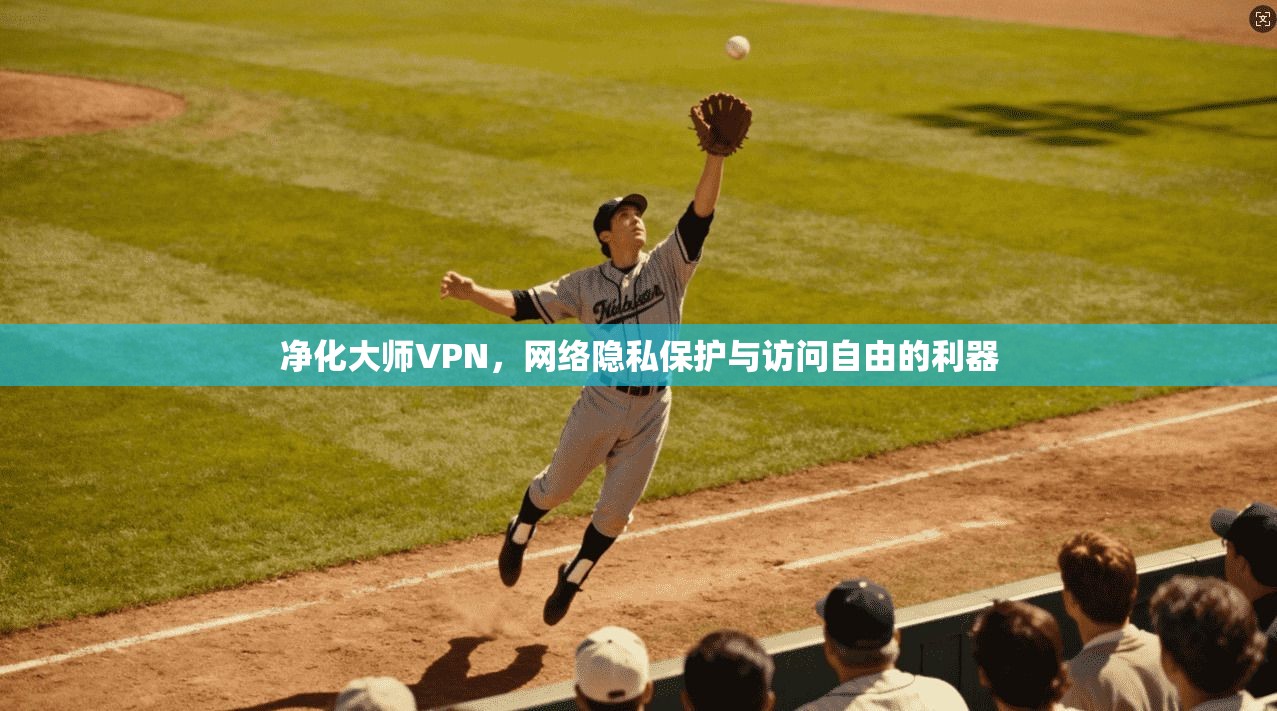 净化大师VPN，网络隐私保护与访问自由的利器