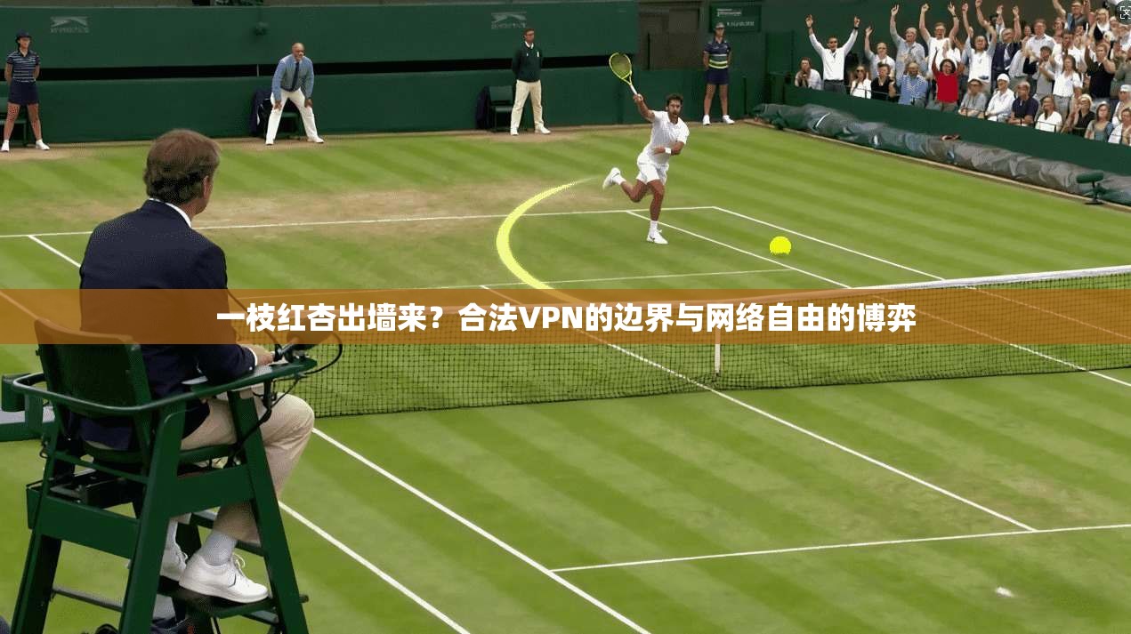 一枝红杏出墙来？合法VPN的边界与网络自由的博弈