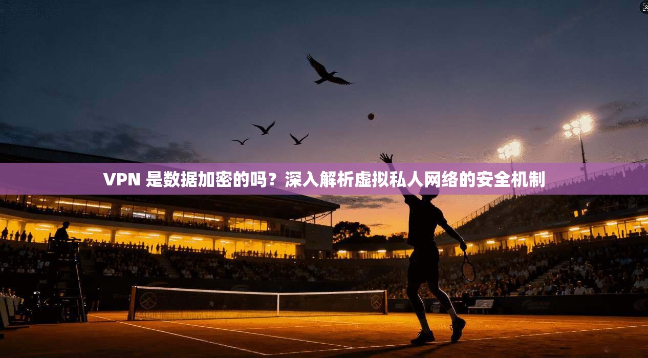 VPN 是数据加密的吗？深入解析虚拟私人网络的安全机制