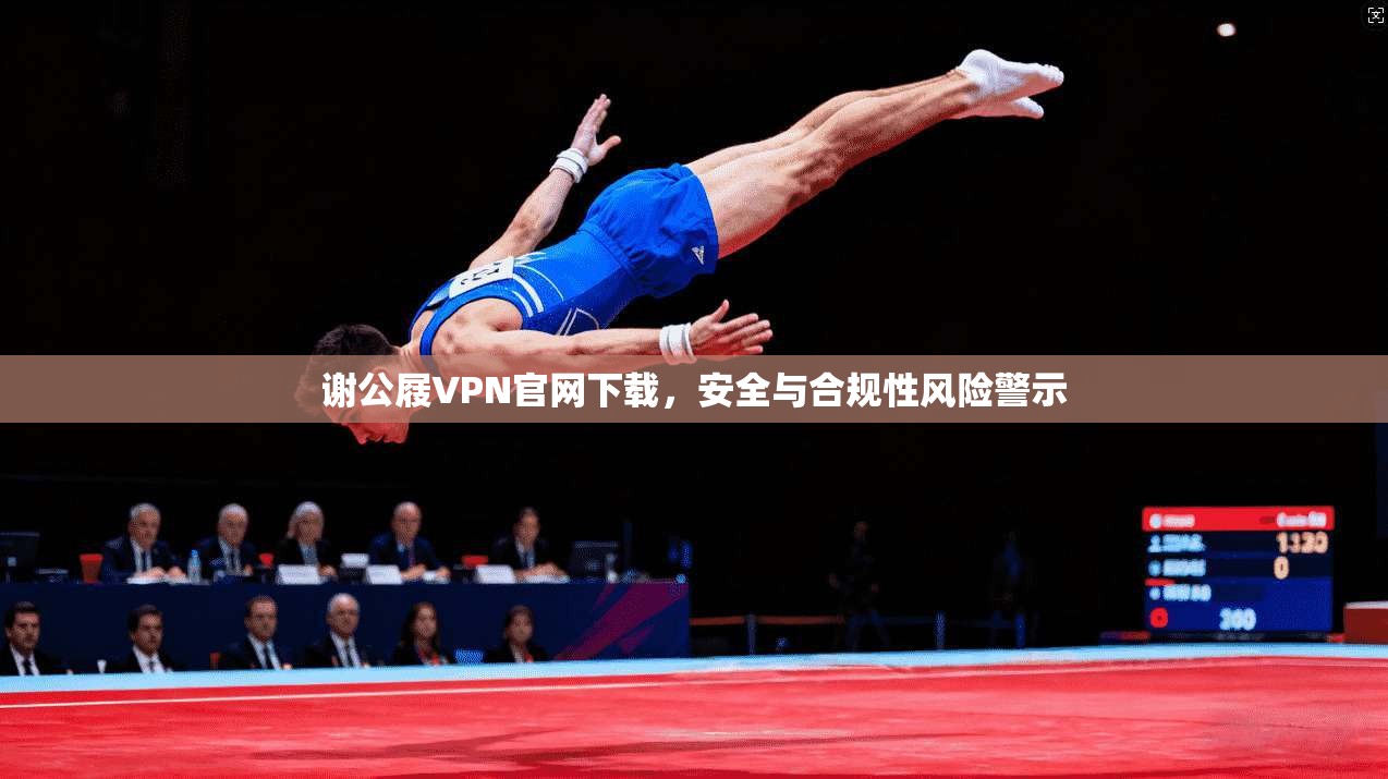 谢公屐VPN官网下载，安全与合规性风险警示