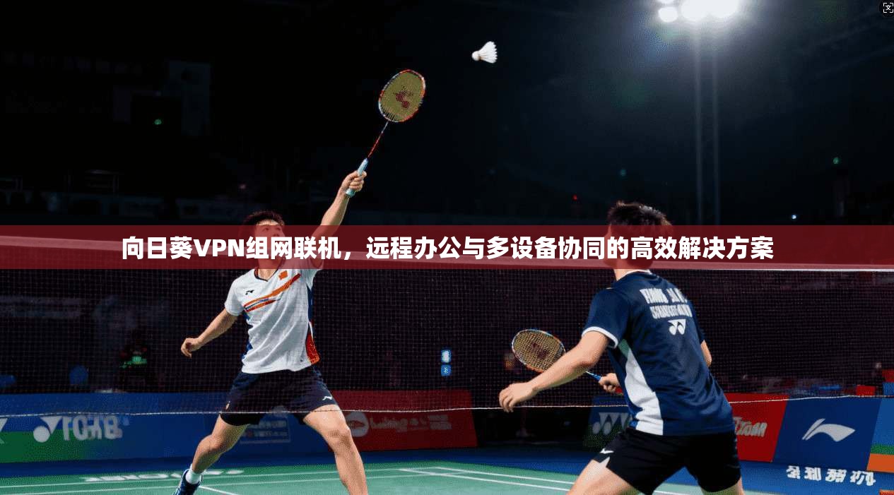 向日葵VPN组网联机，远程办公与多设备协同的高效解决方案