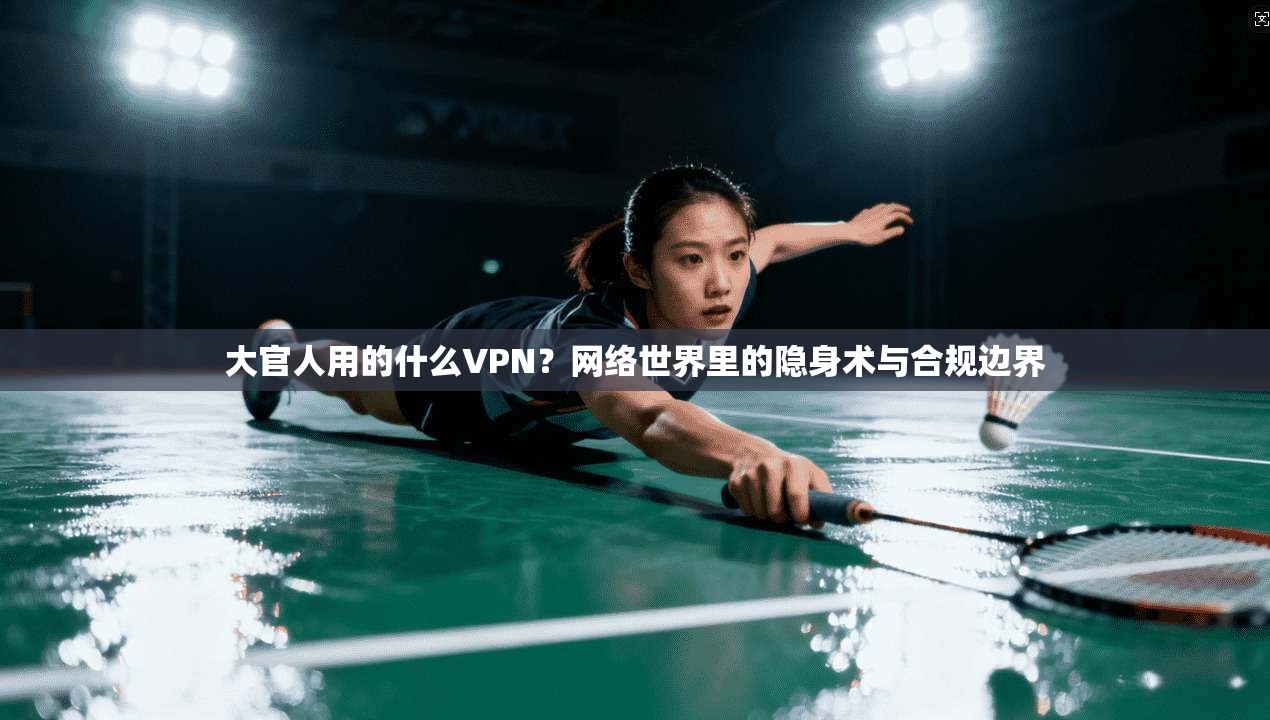 大官人用的什么VPN？网络世界里的隐身术与合规边界