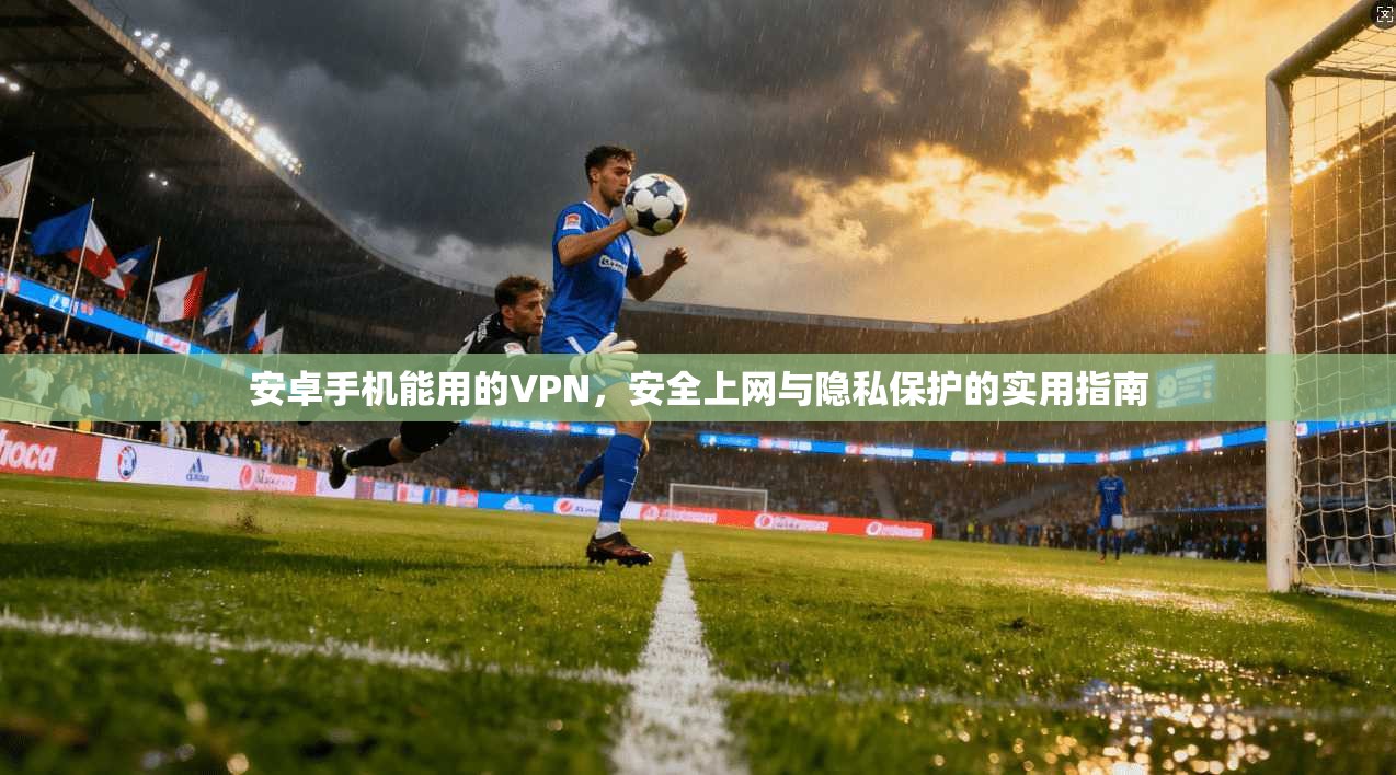安卓手机能用的VPN，安全上网与隐私保护的实用指南
