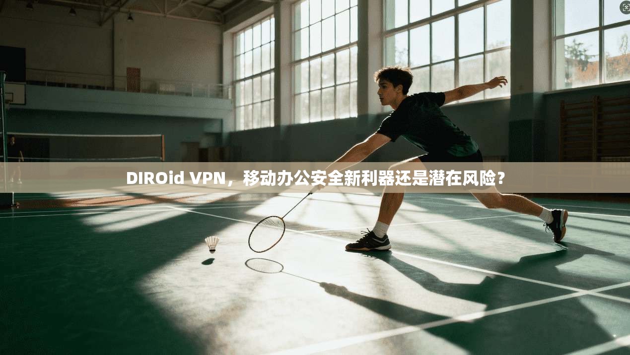 DIROid VPN，移动办公安全新利器还是潜在风险？