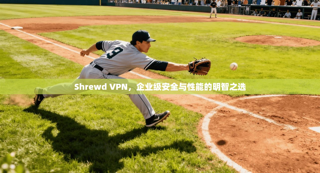 Shrewd VPN，企业级安全与性能的明智之选