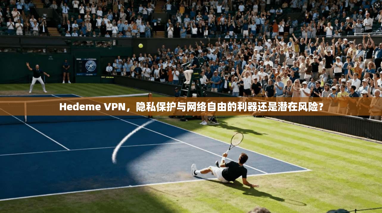 Hedeme VPN，隐私保护与网络自由的利器还是潜在风险？