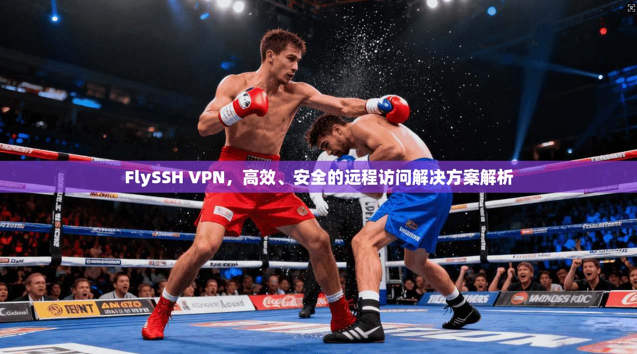 FlySSH VPN，高效、安全的远程访问解决方案解析