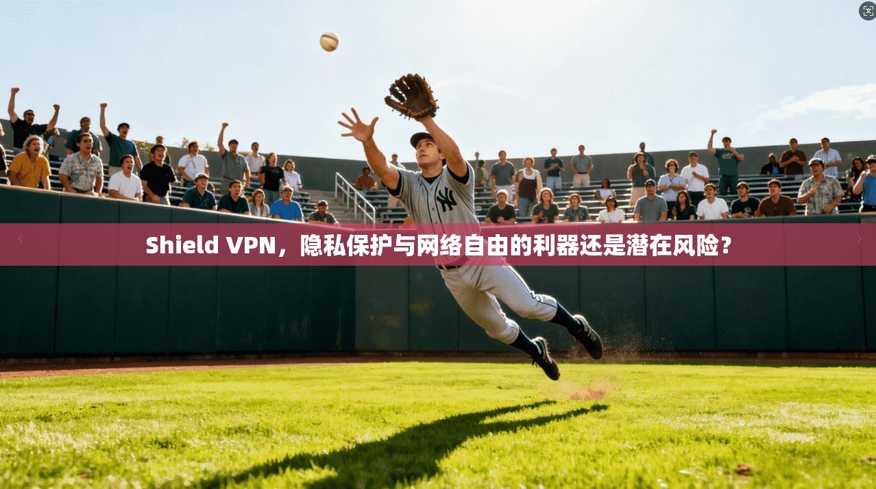 Shield VPN，隐私保护与网络自由的利器还是潜在风险？