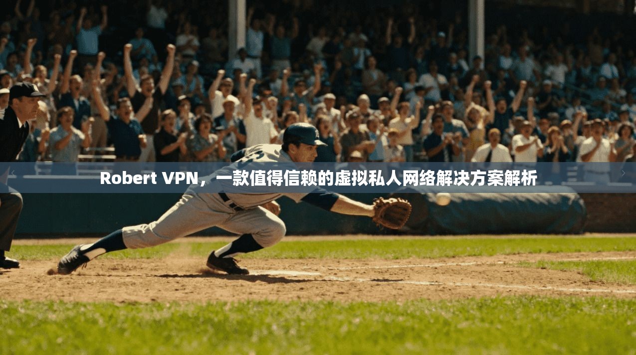 Robert VPN，一款值得信赖的虚拟私人网络解决方案解析