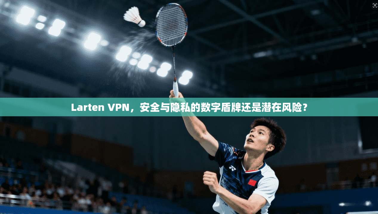 Larten VPN，安全与隐私的数字盾牌还是潜在风险？