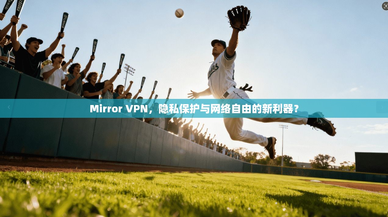 Mirror VPN，隐私保护与网络自由的新利器？