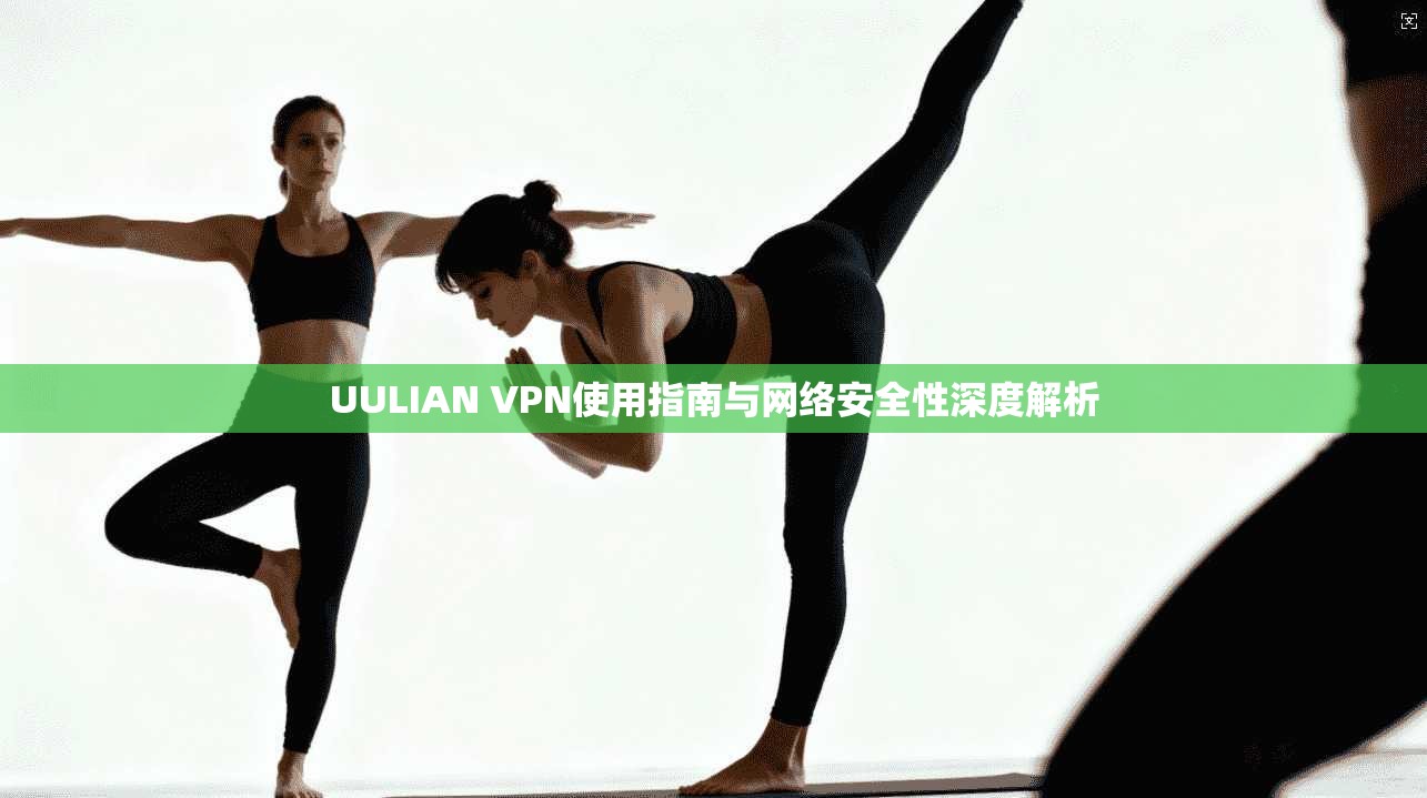 UULIAN VPN使用指南与网络安全性深度解析