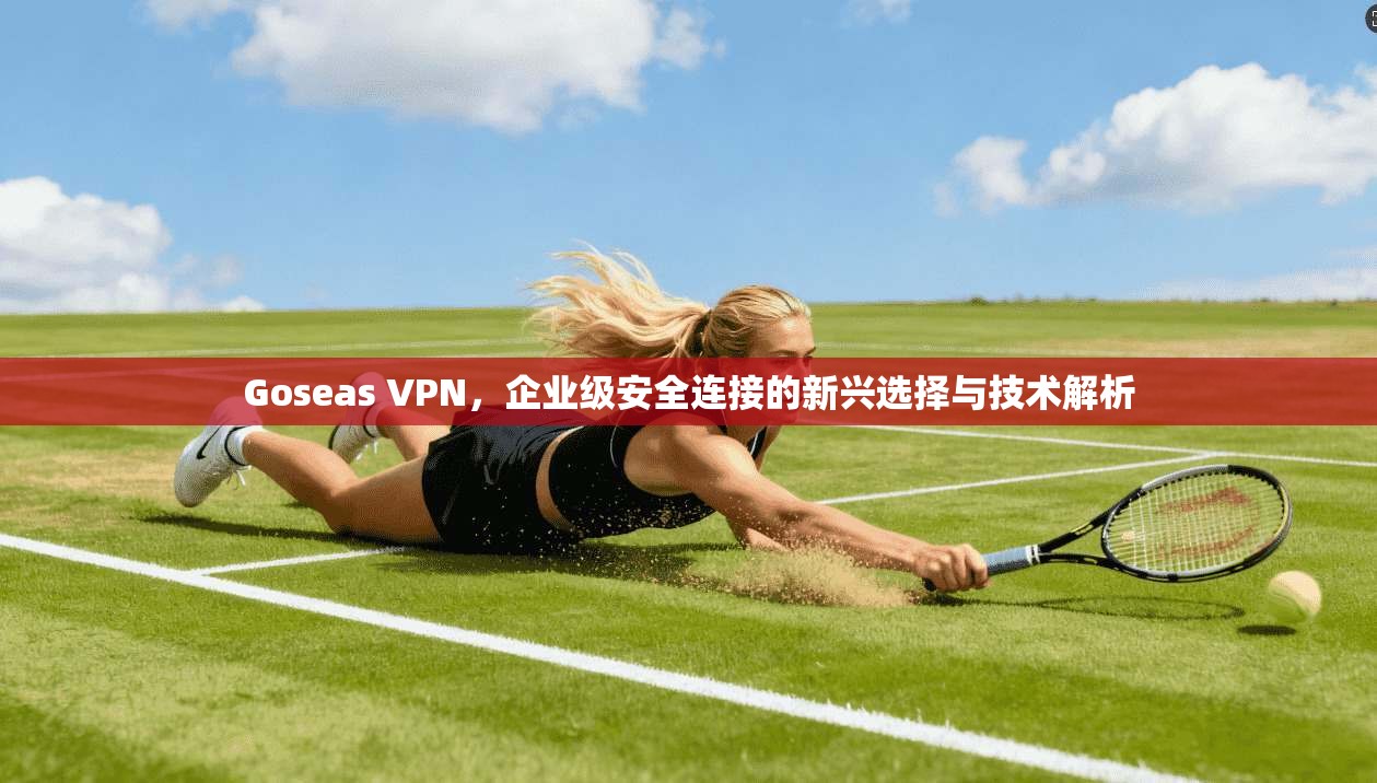Goseas VPN，企业级安全连接的新兴选择与技术解析
