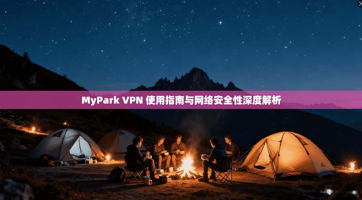 MyPark VPN 使用指南与网络安全性深度解析