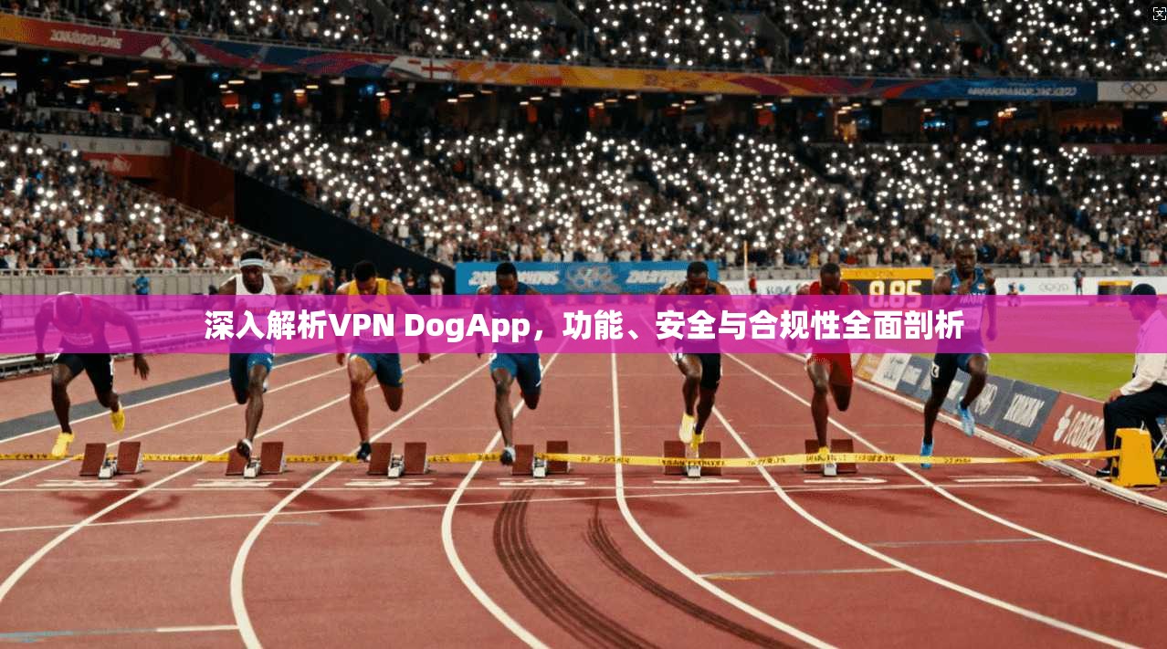 深入解析VPN DogApp，功能、安全与合规性全面剖析