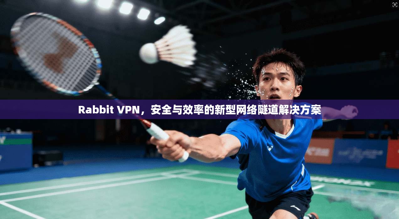 Rabbit VPN，安全与效率的新型网络隧道解决方案