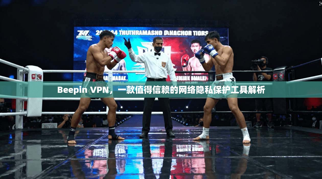 Beepin VPN，一款值得信赖的网络隐私保护工具解析