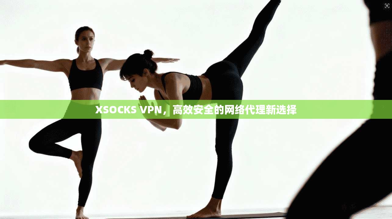 XSOCKS VPN，高效安全的网络代理新选择