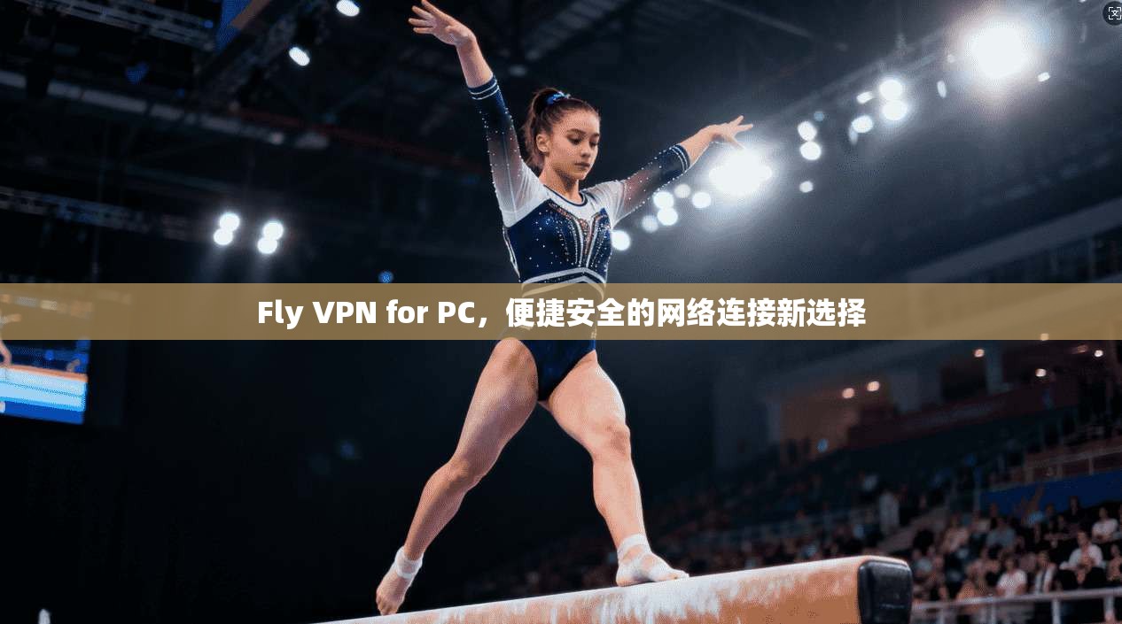 Fly VPN for PC，便捷安全的网络连接新选择