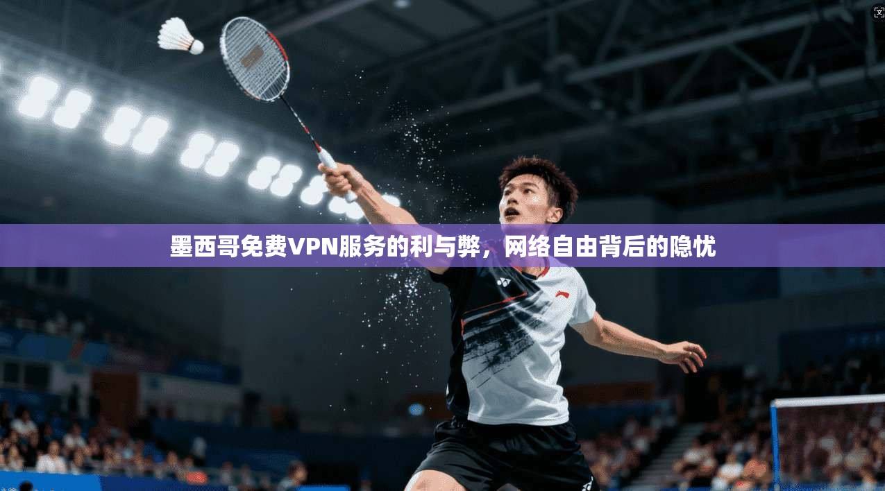 墨西哥免费VPN服务的利与弊，网络自由背后的隐忧