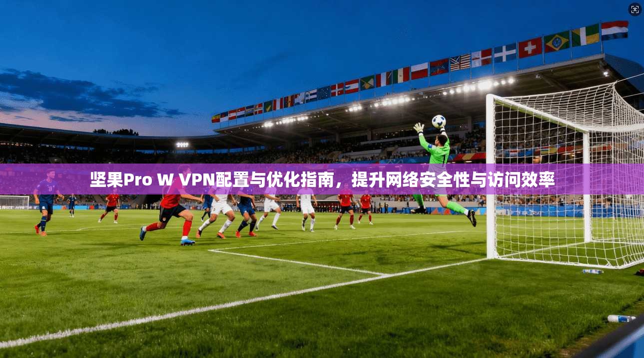 坚果Pro W VPN配置与优化指南，提升网络安全性与访问效率