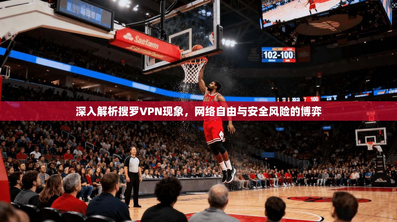 深入解析搜罗VPN现象，网络自由与安全风险的博弈