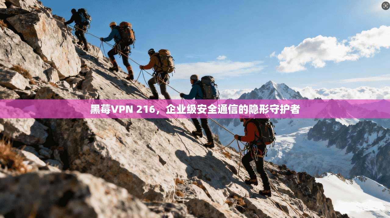 黑莓VPN 216,企业级安全通信的隐形守护者