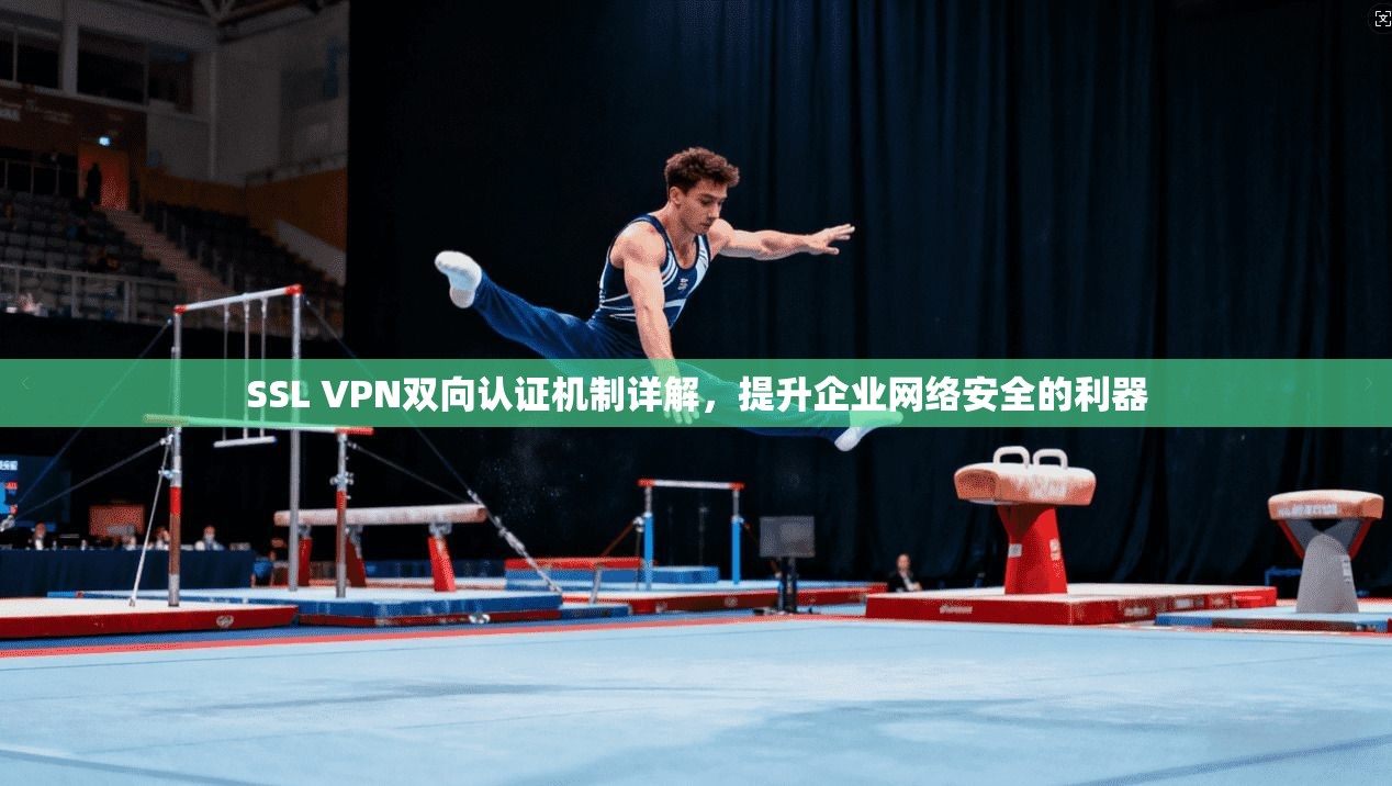 SSL VPN双向认证机制详解，提升企业网络安全的利器